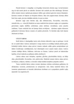 Referāts 'SPA viesnīcu piedāvājums Latvijā', 24.