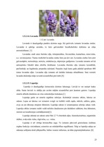 Referāts 'SPA viesnīcu piedāvājums Latvijā', 25.