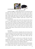 Referāts 'SPA viesnīcu piedāvājums Latvijā', 27.