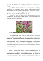 Referāts 'SPA viesnīcu piedāvājums Latvijā', 29.