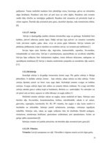 Referāts 'SPA viesnīcu piedāvājums Latvijā', 31.