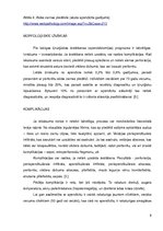 Referāts 'Hronisks apendicīts', 8.