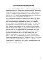 Referāts 'Viduslaiku kultūra', 9.