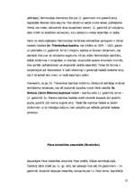 Referāts 'Viduslaiku kultūra', 32.