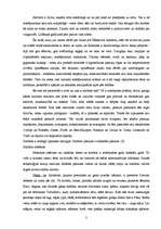 Referāts 'Kultūra un simboli', 2.