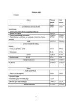 Biznesa plāns 'Individuālais uzņēmums. Papīrmalkas pārvadāšana', 9.