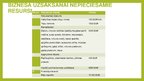 Prezentācija 'Biznesa plāna prezentācija', 7.
