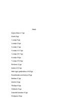 Biznesa plāns 'SIA "Datio"', 2.