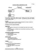 Biznesa plāns 'SIA "Datio"', 6.