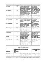 Referāts 'Vitamīni uzturā', 4.