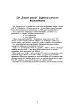 Biznesa plāns 'Biznesa plāns picērijai', 2.