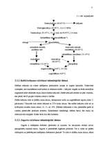 Prakses atskaite 'Prakses atskaite a/s "Rīgas Piena kombināts"', 8.