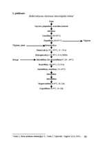 Prakses atskaite 'Prakses atskaite a/s "Rīgas Piena kombināts"', 21.