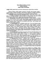 Konspekts 'Sadzīve Bizantijā', 1.