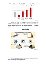 Referāts 'Bezdarbs Latvijā 2012.gada pirmajā ceturksnī', 7.
