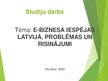 Referāts 'E-biznesa iespējas Latvijā, problēmas un risinājumi', 30.