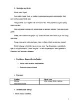 Prakses atskaite 'Individuālais sociālās rehabilitācijas plāns', 2.