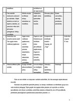 Prakses atskaite 'Individuālais sociālās rehabilitācijas plāns', 4.