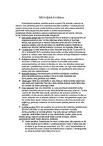 Konspekts 'Mitoloģiskā domāšana', 1.