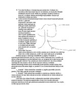 Konspekts 'Mitoloģiskā domāšana', 2.