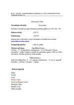 Prezentācija 'Lielais lācis', 23.