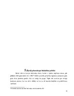 Referāts 'Latvijas senioru pilsoniskā līdzdalība politikā', 15.