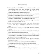 Referāts 'Latvijas senioru pilsoniskā līdzdalība politikā', 22.