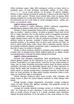 Referāts 'Apģērbi un aksesuāri', 3.