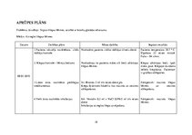 Prakses atskaite 'Akūts bronhīts bērnam', 18.