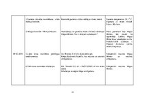 Prakses atskaite 'Akūts bronhīts bērnam', 19.