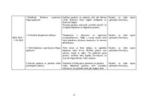 Prakses atskaite 'Akūts bronhīts bērnam', 32.