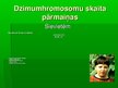 Prezentācija 'Dzimumhromosomu skaita novirze', 14.