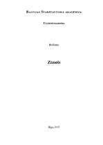 Referāts 'Zīmols', 1.