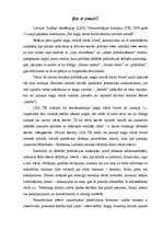 Referāts 'Zīmols', 2.