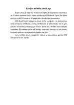 Referāts 'Zīmols', 4.