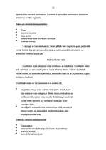 Referāts 'Dopings sportista dzīvē', 11.