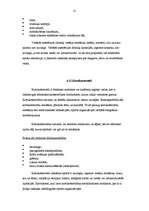 Referāts 'Dopings sportista dzīvē', 19.