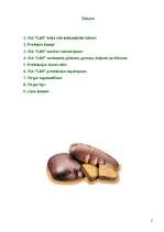 Referāts 'SIA "Lāči"', 2.