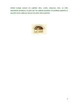 Referāts 'SIA "Lāči"', 8.