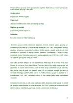 Referāts 'SIA "Lāči"', 10.