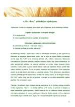 Referāts 'SIA "Lāči"', 11.