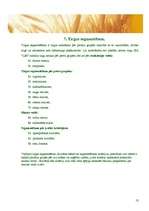 Referāts 'SIA "Lāči"', 13.