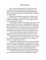 Referāts 'Orhideju virzīšana tirgū', 2.