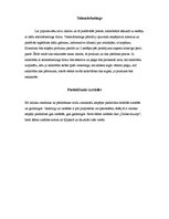 Referāts 'Orhideju virzīšana tirgū', 4.