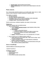 Konspekts 'Elpošanas sistēmas slimības', 14.