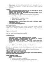 Konspekts 'Elpošanas sistēmas slimības', 16.