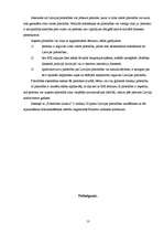 Referāts 'Pilsonības institūts ', 13.