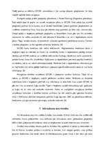 Referāts 'Pārgājiena plāns', 8.