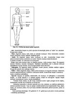 Konspekts 'Vilhelma Raiha ķermeņa terapija', 6.