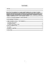 Referāts 'Šaušanas tehnika', 1.